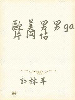 欧美男男gay片网站