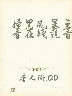 扫黑风暴免费观看在线观看