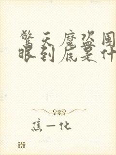 惊天魔盗团2天眼到底是什么