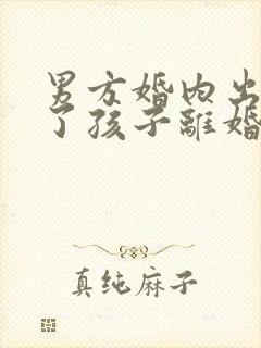 男方婚内出轨有了孩子离婚怎么处理封面