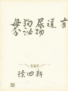 母狗尿道有黄色分泌物封面