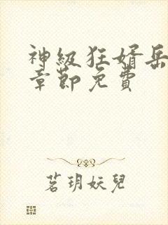 神级狂婿岳风全章节免费