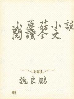 小蘑菇小说免费阅读全文