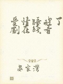 爱情睡醒了电视剧在线看