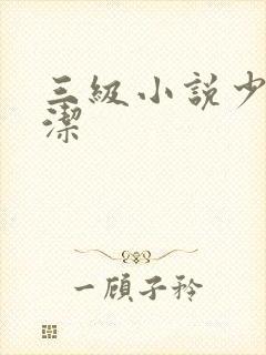 三级小说少妇白洁