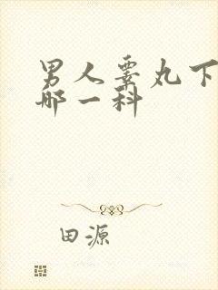 男人睾丸下坠看哪一科