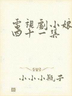 电视剧小娘惹第四十一集封面