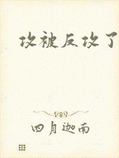 攻被反攻了封面