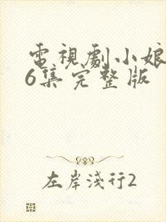 电视剧小娘惹46集完整版封面