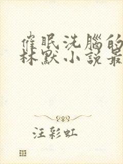 催眠洗脑的姐姐林默小说最新章节更