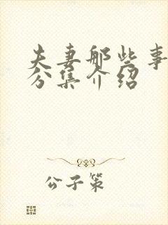 夫妻那些事剧情分集介绍封面