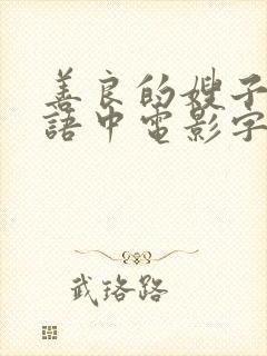 善良的嫂子2韩语中电影字封面