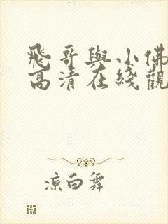 飞哥与小佛动漫高清在线观看封面