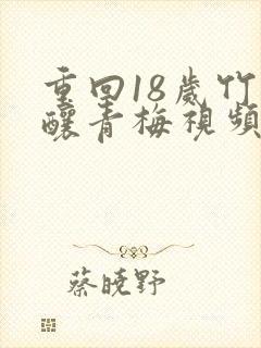 重回18岁竹马酿青梅视频播放封面