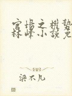 官场之权势滔天林峰小说免费阅读最