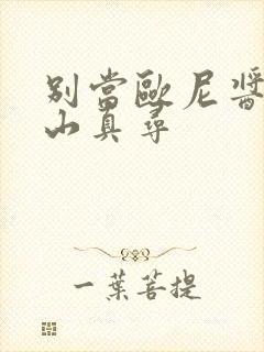 别当欧尼酱了绪山真寻封面