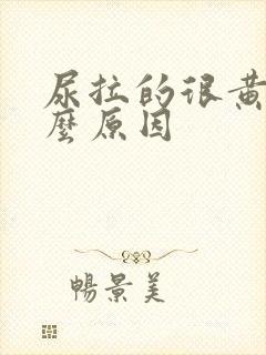 尿拉的很黄是什么原因