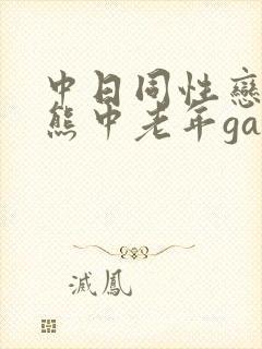 中日同性恋男胖熊中老年gay视频