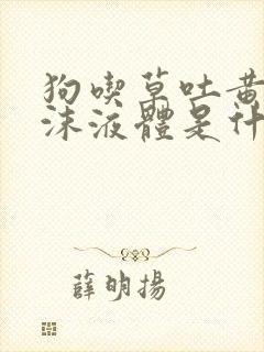 狗吃草吐黄色泡沫液体是什么原因