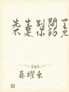 先生别闹了新娘不是你的免费观看