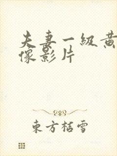 夫妻一级黄色录像影片