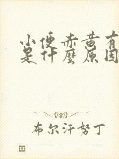 小便赤黄有异味是什么原因