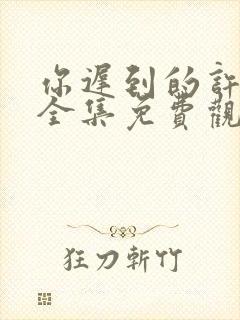 你迟到的许多年全集免费观看