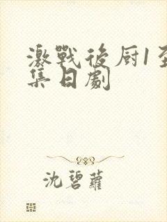 激战后厨1至5集日剧