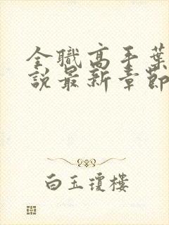 全职高手叶修小说最新章节下载