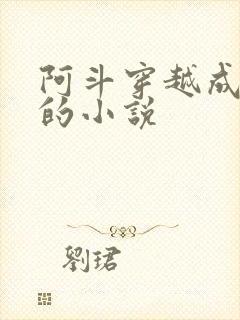 阿斗穿越成赵构的小说