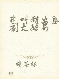 我叫赵出息电视剧大结局封面