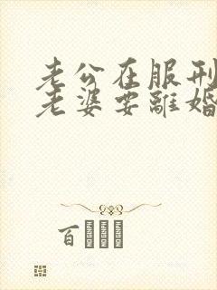 老公在服刑期间老婆要离婚可以吗封面