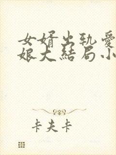 女婿出轨爱上母娘大结局小说封面