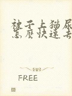 被子上猫尿骚味怎么快速去除