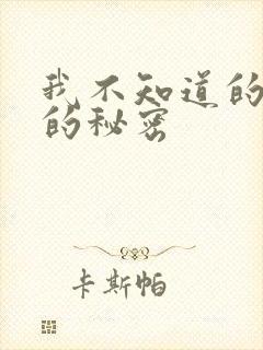 我不知道的妻子的秘密封面