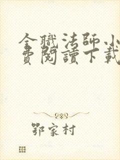 全职法师小说免费阅读下载txt