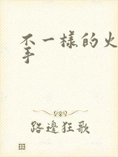 不一样的火影纲手