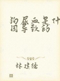 狗尿血是什么原因导致的封面