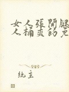 女人张开腿让男人桶爽的免费视频