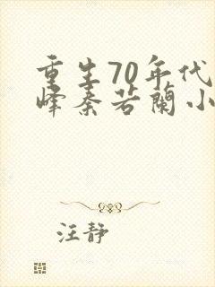 重生70年代陆峰秦若兰小说