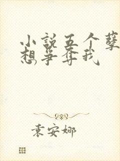 小说五个孽徒都想争夺我