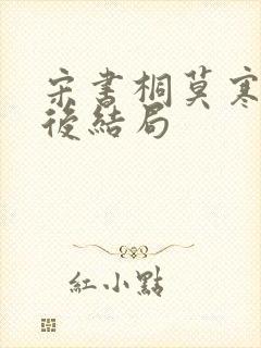 宋书桐莫寒城最后结局封面