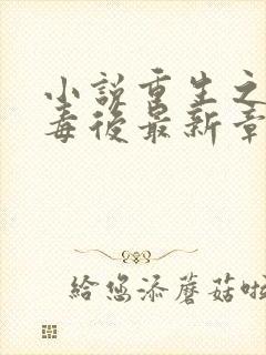 小说重生之将门毒后最新章节