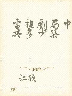 电视剧局中人一共多少集