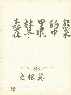 森林里的熊先生在冬眠中未增减版漫画封面