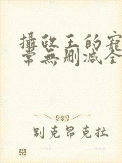 摄政王的宠妻日常无删减全本阅读封面