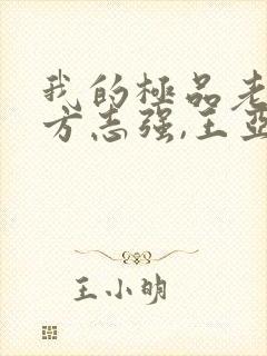 我的极品老婆(方志强,王亚欣)封面