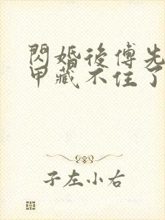 闪婚后傅先生马甲藏不住了全文在线阅读封面