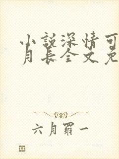 小说深情可抵岁月长全文免费阅读