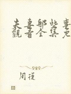 夫妻那些事在线观看全集免费播放电